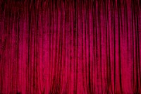 Crushed Velvet - Burgundy