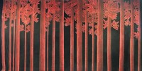 Red Wood Forest